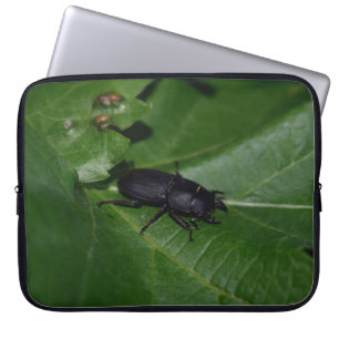 Dorcus parallelipedus, de kleine kever laptop sleeve