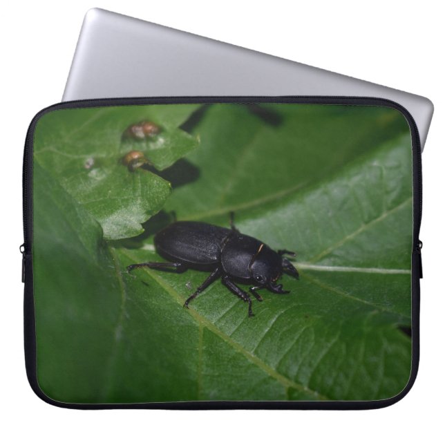 Dorcus parallelipedus, de kleine kever laptop sleeve (Voorkant)