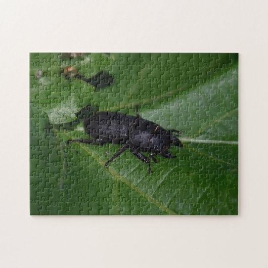 Dorcus parallelipedus, de kleine kever legpuzzel (Horizontaal)