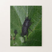 Dorcus parallelipedus, de kleine kever legpuzzel (Verticaal)