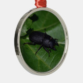 Dorcus parallelipedus, de kleine kever metalen ornament (Rechts)