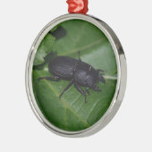 Dorcus parallelipedus, de kleine kever metalen ornament (Links)