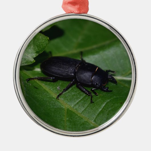Dorcus parallelipedus, de kleine kever metalen ornament (Voorkant)