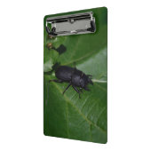 Dorcus parallelipedus, de kleine kever mini klembord (Angled2)