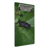 Dorcus parallelipedus, de kleine kever mini klembord (Schuin)