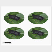 Dorcus parallelipedus, de kleine kever ovale sticker (Vel)