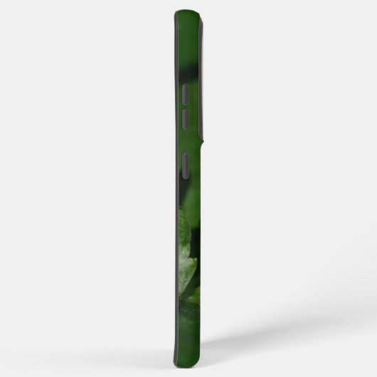 Dorcus parallelipedus, de kleine kever samsung galaxy hoesje (Rechterkant)