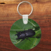 Dorcus parallelipedus, de kleine kever sleutelhanger (Achterkant)