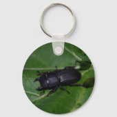 Dorcus parallelipedus, de kleine kever sleutelhanger (Achterkant)