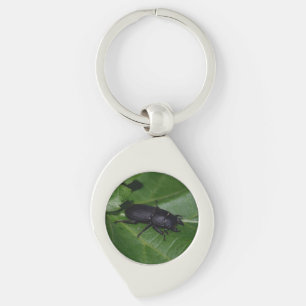 Dorcus parallelipedus, de kleine kever sleutelhanger