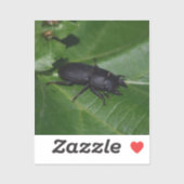 Dorcus parallelipedus, de kleine kever sticker (Vel)