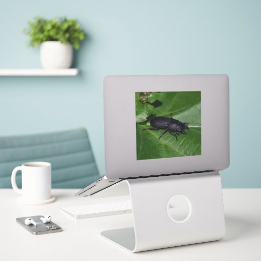 Dorcus parallelipedus, de kleine kever sticker (Laptop op bureau)