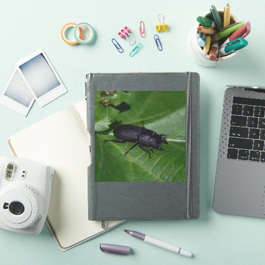Dorcus parallelipedus, de kleine kever sticker (iPad Cover)