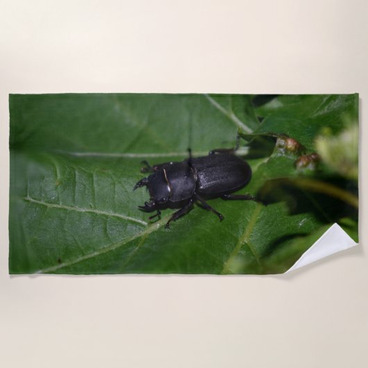 Dorcus parallelipedus, de kleine kever strandlaken (Voorkant)