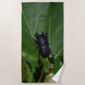 Dorcus parallelipedus, de kleine kever strandlaken (Voorkant)