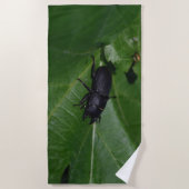 Dorcus parallelipedus, de kleine kever strandlaken (Voorkant)