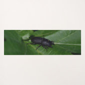 Dorcus parallelipedus, de kleine kever yogamat (Achterkant (horizontaal))