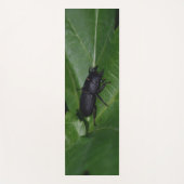 Dorcus parallelipedus, de kleine kever yogamat (Voorkant)