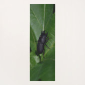 Dorcus parallelipedus, de kleine kever yogamat (Achterkant)