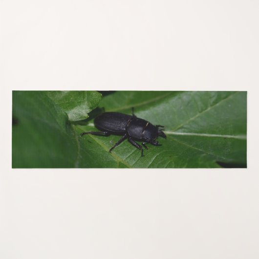 Dorcus parallelipedus, de kleine kever yogamat (Voorkant (horizontaal))