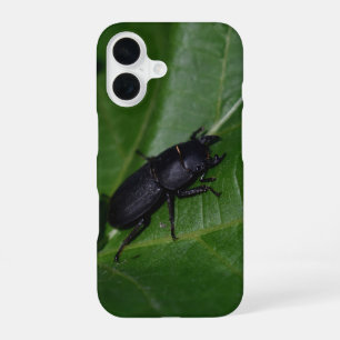Dorcus parallelipipedus, het kleine vliegend hert iPhone 16 hoesje