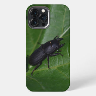 Dorcus parallelipipedus, het kleine vliegend hert iPhone 13 pro max hoesje