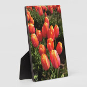 Dordogne Tulips, Oregon Fotoplaat (Zijkant)