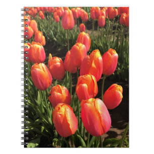 Dordogne Tulips, Oregon Notitieboek