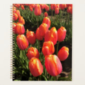 Dordogne Tulips, Oregon Planner (Voorkant)