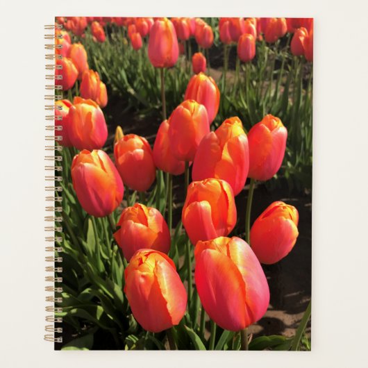 Dordogne Tulips, Oregon Planner (Voorkant)