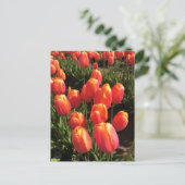 Dordogne Tulpen, Oregon Briefkaart (Staand voorkant)