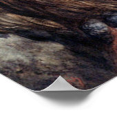 DORE-TWEE OWLS-AFDRUKKING POSTER (Hoek)