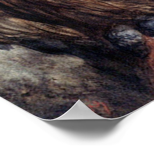 DORE-TWEE OWLS-AFDRUKKING POSTER (Hoek)