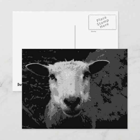 Doris de schapen briefkaart (Voorkant / Achterkant)