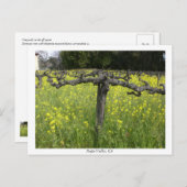Dormant vine - Napa Valley Briefkaart (Voorkant / Achterkant)
