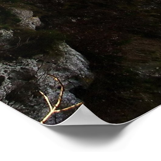 Dornröschenschloss Poster (Hoek)