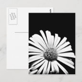 Doronicum flower art briefkaart (zwart-wit) (Voorkant / Achterkant)