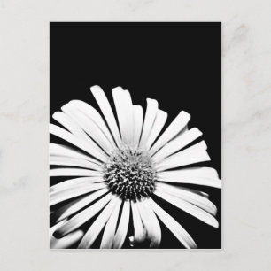 Doronicum flower art briefkaart (zwart-wit)