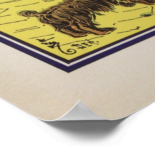 Dorothy ontmoet de laffe Lion Poster (Hoek)