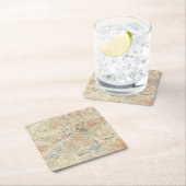 dorp en gebied van het meer van Saranac in Adirond Kartonnen Onderzetters (Insitu)