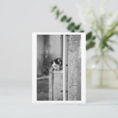 Dorp Kat Briefkaart (Staand voorkant)