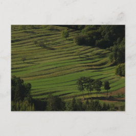 Dorp van Prem, Brkini Hills, Slovenië Briefkaart