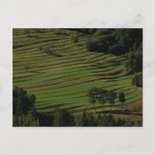 Dorp van Prem, Brkini Hills, Slovenië Briefkaart (Voorkant)