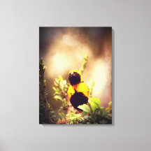 Dorpswever