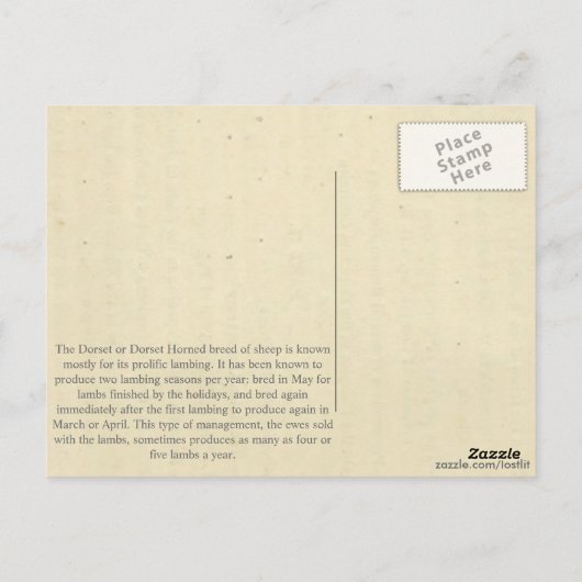 Dorset Briefkaart (Achterkant)