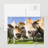 Dorset, Verenigd Koninkrijk Briefkaart (Voorkant / Achterkant)