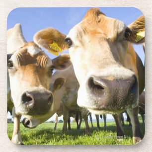 Dorset, Verenigd Koninkrijk Drankjes Onderzetter