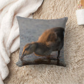 Dorstige Baby Kussen (Deken)
