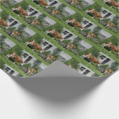 Dorstige Fleckvieh Cadeaupapier (Hoek)