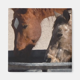 Dorstige Paarden Drinken bij de Watertrog Magneet